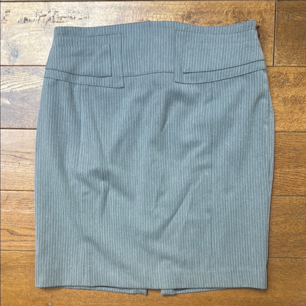 Gray Pinstripe Women's Skirt